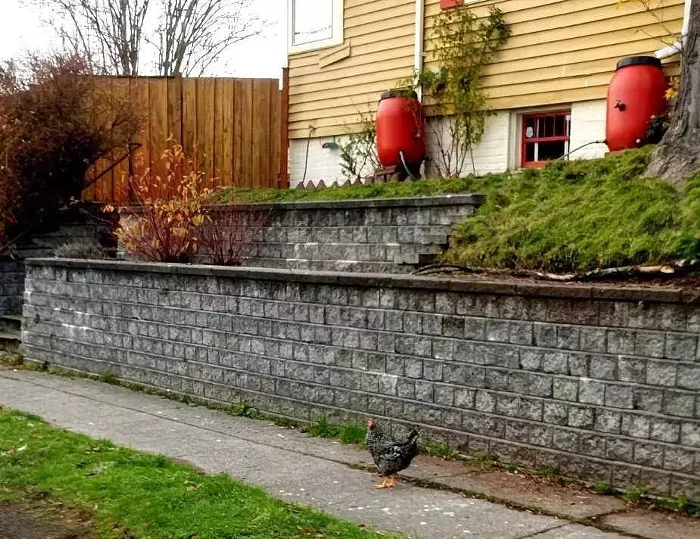 Slog AM: Bad Weather, Broken Levees, and &ldquo;Slop&rdquo; Is Word of the Year&nbsp;